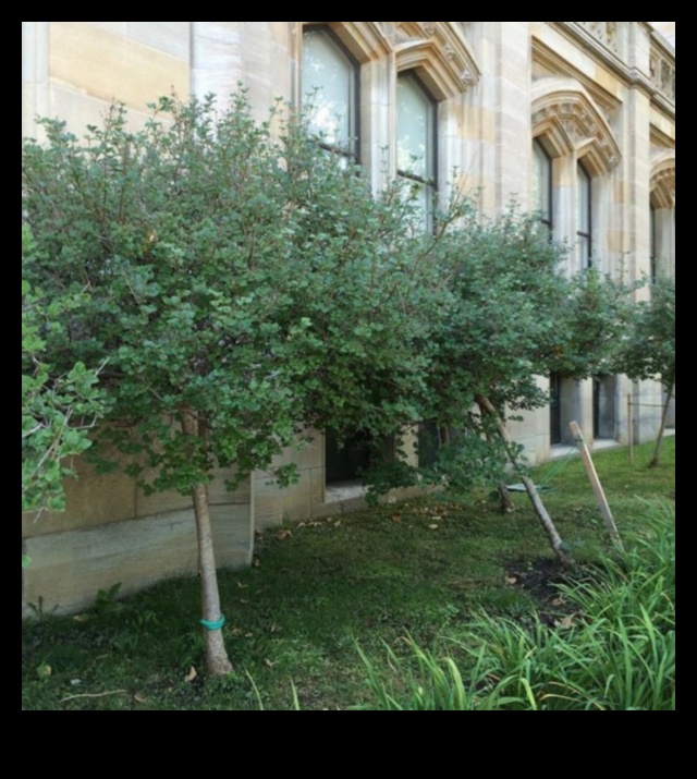 Kultūras mantojuma ainavas: pagātnes atbalsis