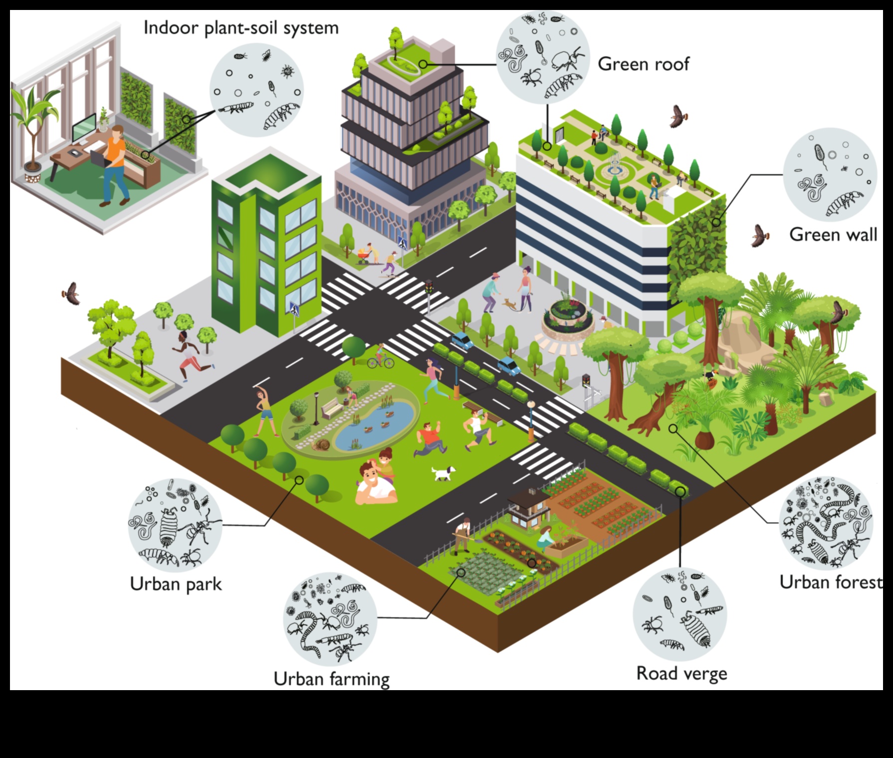 Pilsētas bioloģiskā daudzveidība: savvaļas dzīvnieki pilsētas ainavu vidū