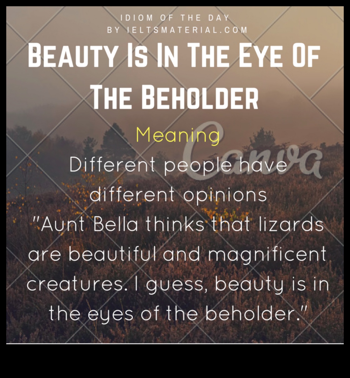 Zemes elegance: Atklājiet graciozu un mūžīgu skaistumu ainavās