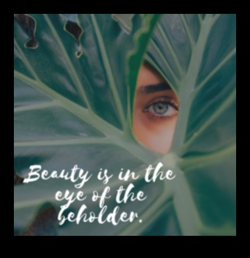 Zemes elegance: Atklājiet graciozu un mūžīgu skaistumu ainavās