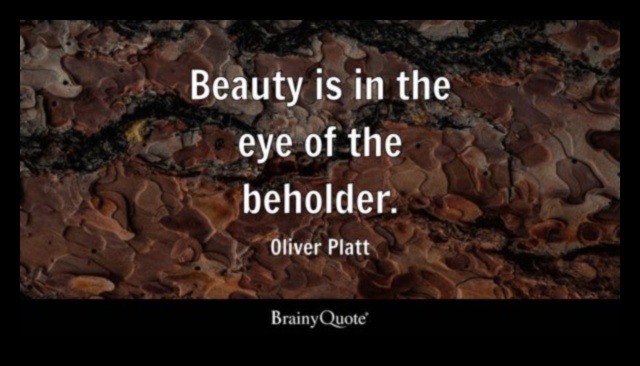 Zemes elegance: Atklājiet graciozu un mūžīgu skaistumu ainavās