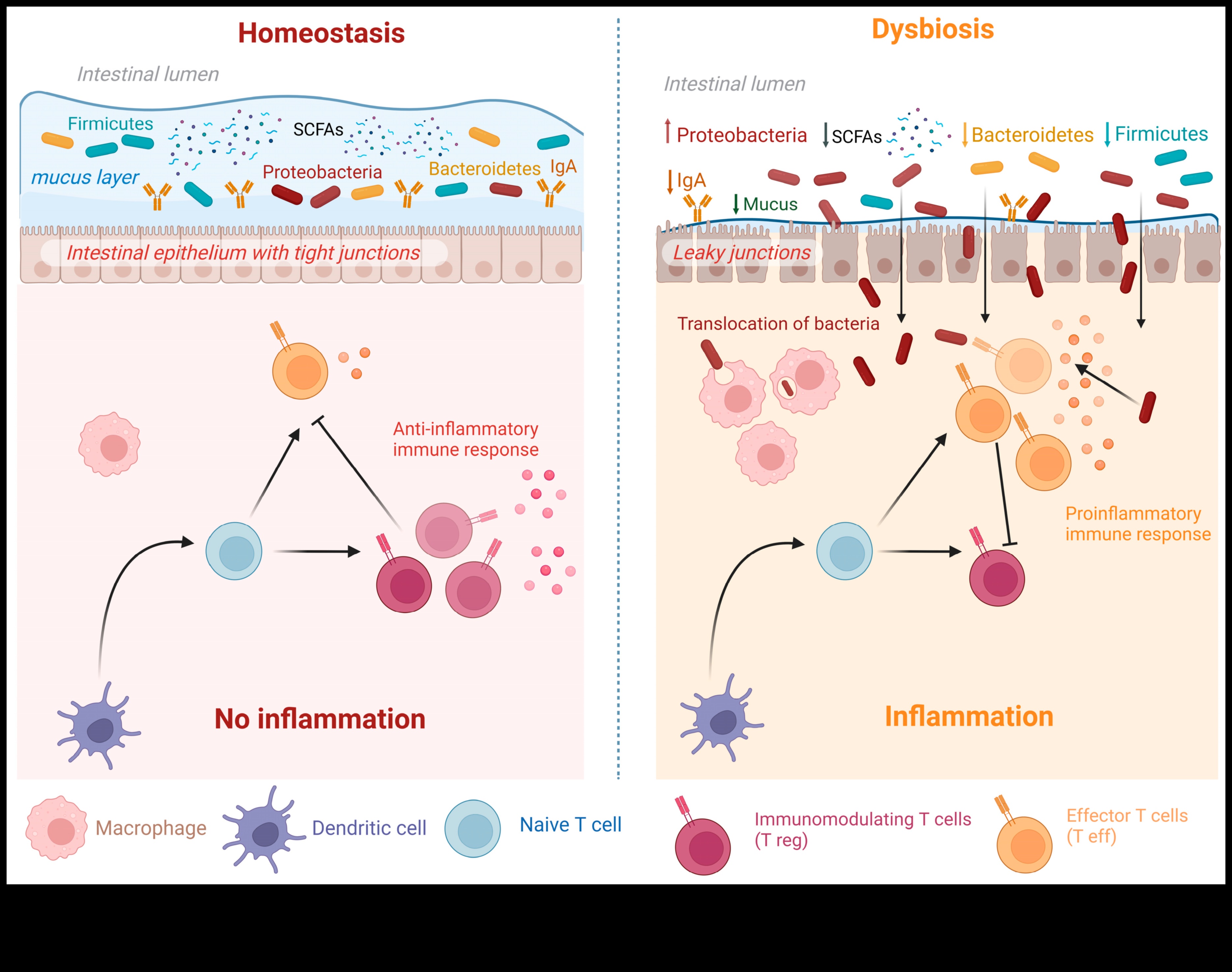 Trūkuma dinamika: uztura nepilnību sarežģītības atrisināšana