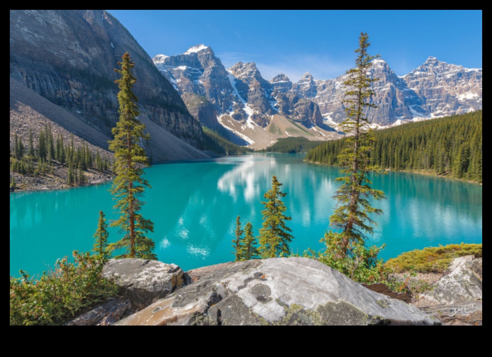 Ainavu simfonija: dabas harmonija katrā kadrā