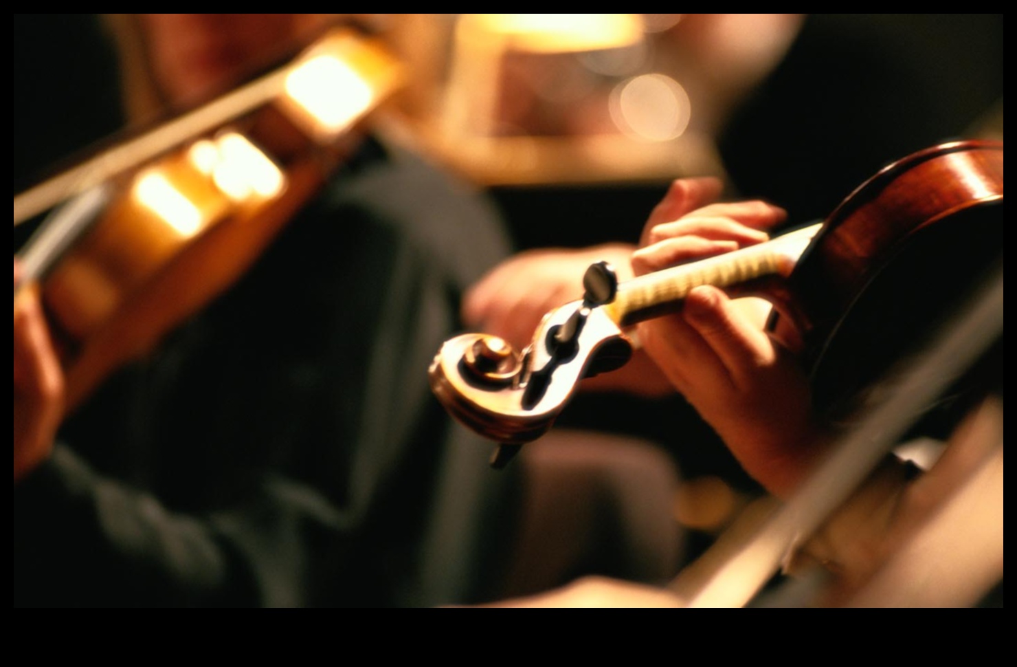 Dabas simfonija: ainavu harmonizēšana katrā kadrā