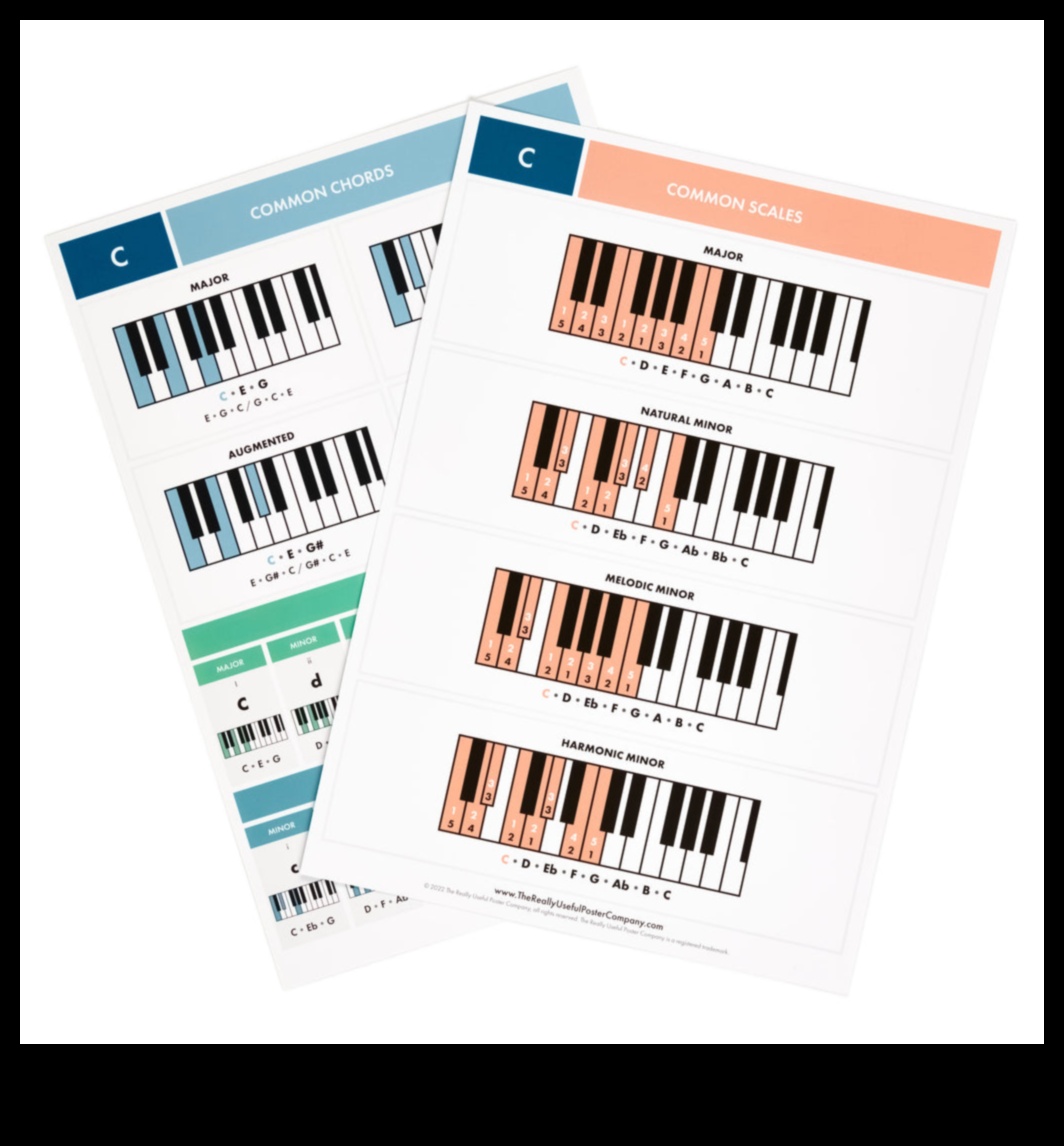 Harmonic Haven: mūzikas instrumenti un aksesuāri mūzikas entuziastiem