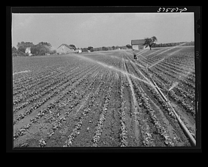 Kā piepilsētas ainavas attīstās, reaģējot uz mainīgo dzīvesveidu?