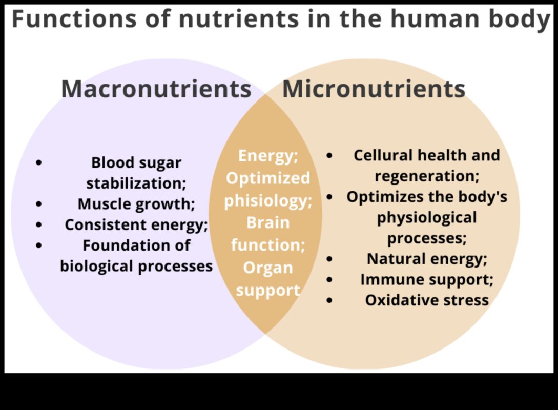 Būtiski mikroelementi: bloki optimālai labsajūtai