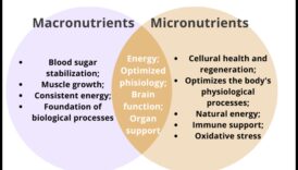 Būtiski mikroelementi: bloki optimālai labsajūtai