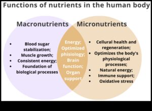 Būtiski mikroelementi: bloki optimālai labsajūtai