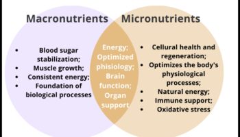 Būtiski mikroelementi: bloki optimālai labsajūtai