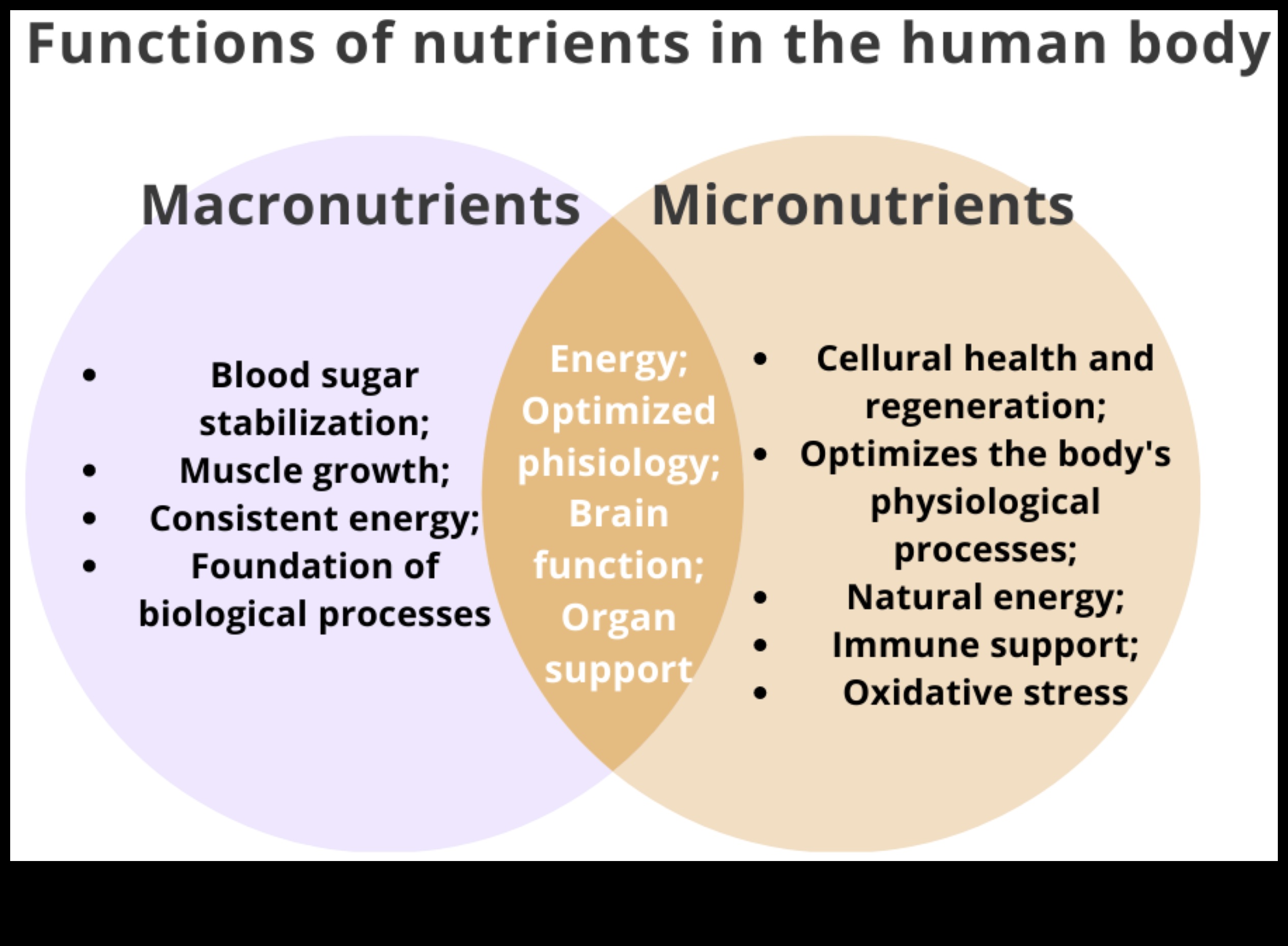 Būtiski mikroelementi: bloki optimālai labsajūtai