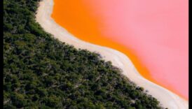 Izcilas perspektīvas: meklējot bijību dabas varenībā