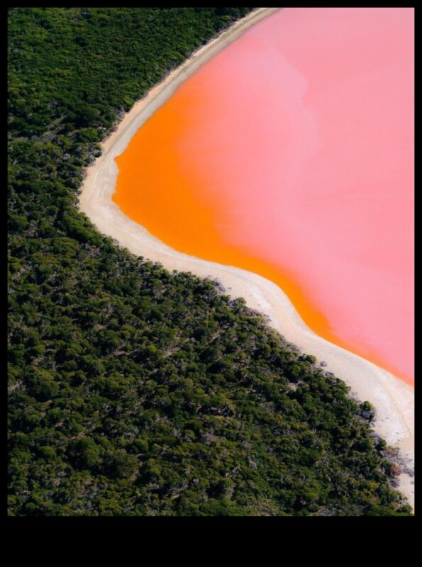 Izcilas perspektīvas: meklējot bijību dabas varenībā