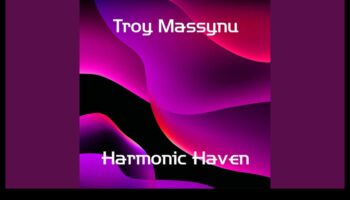 Harmonic Haven: mūzikas instrumenti un aksesuāri mūzikas entuziastiem