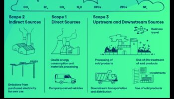 Komercparka pēdas: transportlīdzekļu ietekme uz uzņēmējdarbību