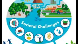 Pilsētas bioloģiskā daudzveidība: savvaļas dzīvnieki pilsētas ainavu vidū