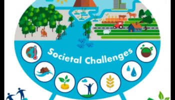 Pilsētas bioloģiskā daudzveidība: savvaļas dzīvnieki pilsētas ainavu vidū