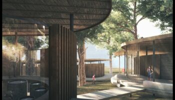 Kāda ir savvaļas dzīvnieku nozīme dabas ainavās?