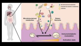 Trūkuma dinamika: uztura nepilnību sarežģītības atrisināšana