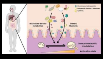 Trūkuma dinamika: uztura nepilnību sarežģītības atrisināšana