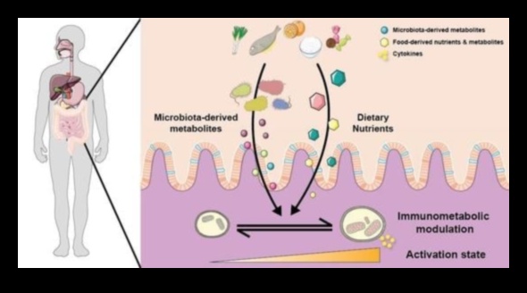 Trūkuma dinamika: uztura nepilnību sarežģītības atrisināšana