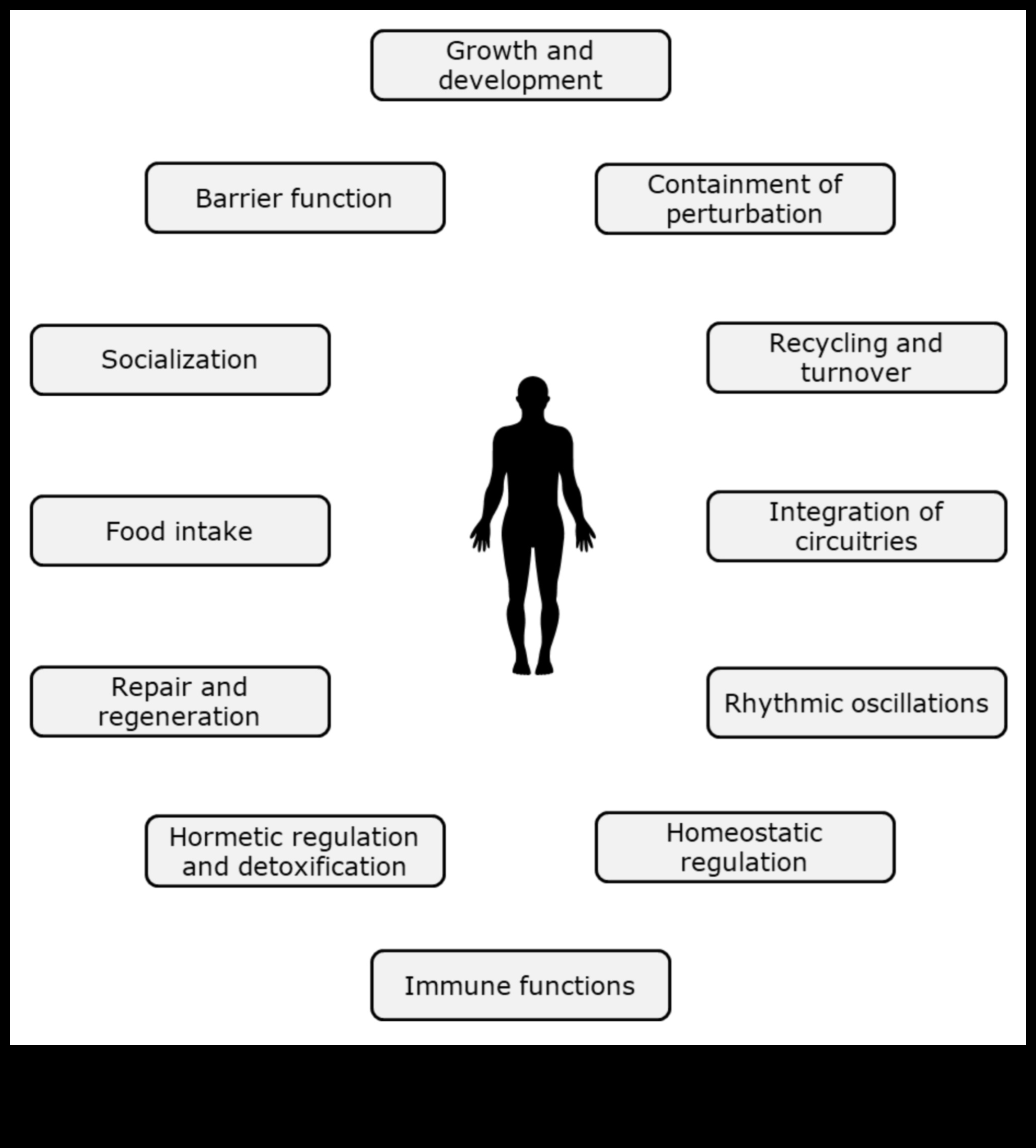 Bioķīmiskais līdzsvars: optimālas uztura veselības atslēga
